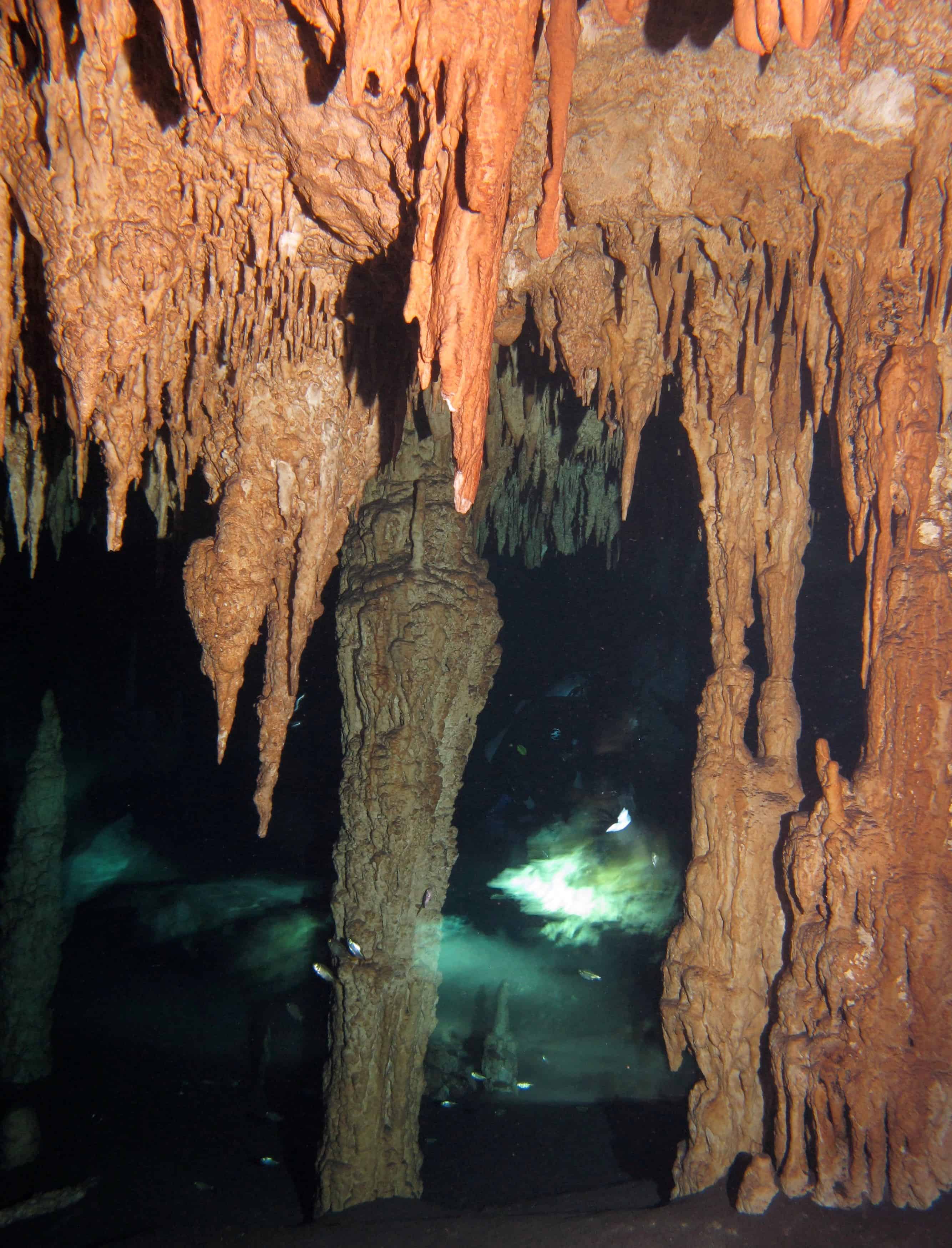 Cenote Dreamgate Cenote Dreamgate